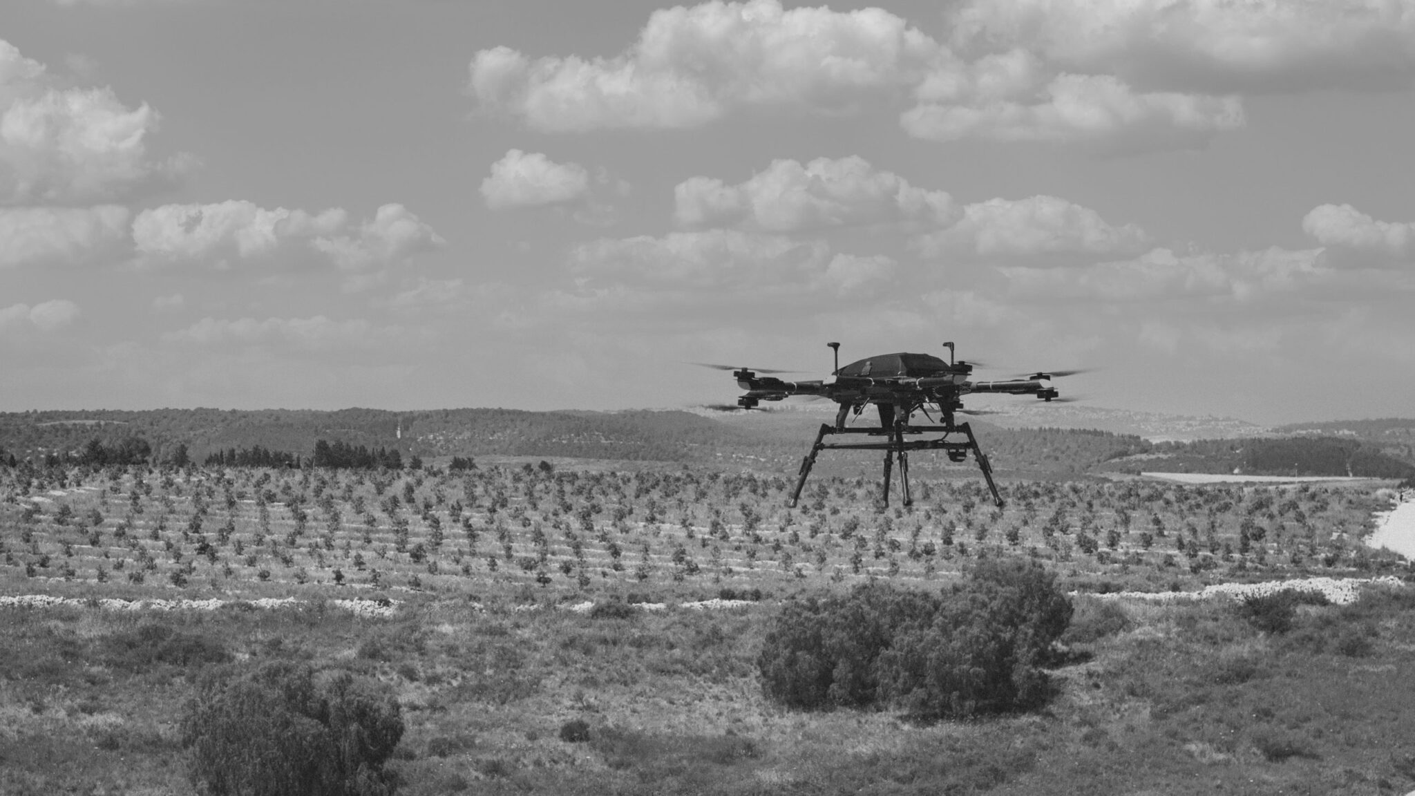 Atlas over field (greyscale)